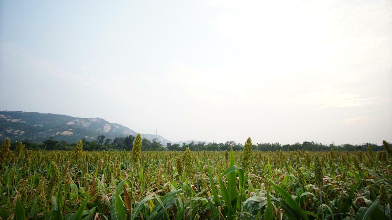 金門廣緣民宿 Guang Yuan B&B Jinsha Exterior foto