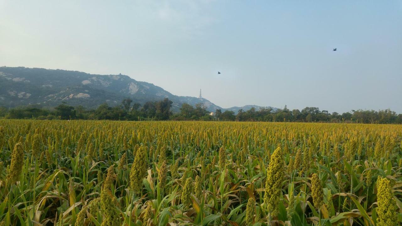 金門廣緣民宿 Guang Yuan B&B Jinsha Exterior foto